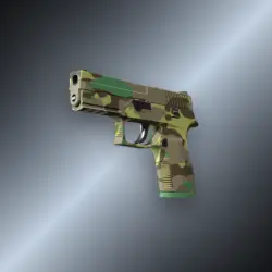 P250 | Boreal Forest (Well-Worn)
