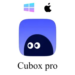 Cubox Pro AI на 1 год