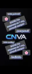 Подписка на CANVA Pro на 1 год (частная)
