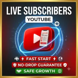 YOUTUBE SUBSCRIBERS 30-DAY