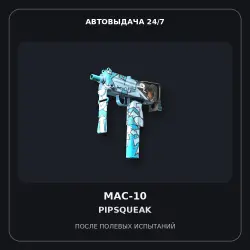MAC-10 | Pipsqueak | Field-Tested