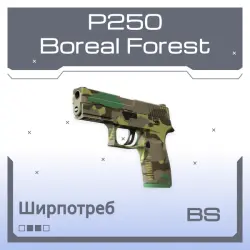 P250 | Boreal Forest (Battle-Scarred)