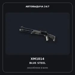 XM1014 | Blue Steel | Battle-Scarred