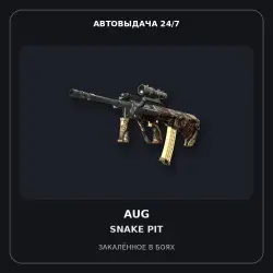 AUG | Snake Pit | Battle-Scarred
