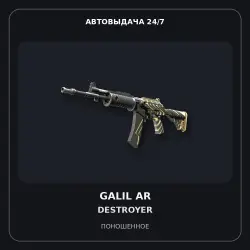 Galil AR | Destroyer | Well-Worn
