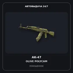 AK-47 | Olive Polycam | Well-Worn