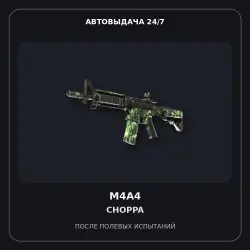 M4A4 | Choppa | Field-Tested