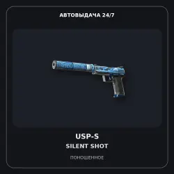 USP-S | Silent Shot | Well-Worn