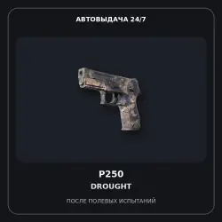 P250 | Drought | Field-Tested
