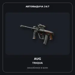 StatTrak AUG | Triqua | Battle-Scarred