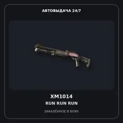 XM1014 | Run Run Run | Battle-Scarred