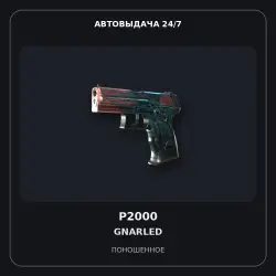 P2000 | Gnarled | Well-Worn