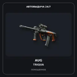 StatTrak AUG | Triqua | Well-Worn