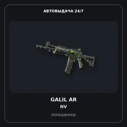 Galil AR | NV | Well-Worn