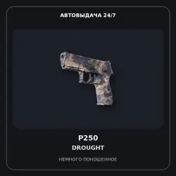 P250 | Drought | Minimal Wear