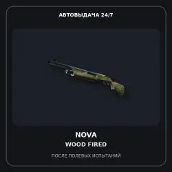 StatTrak Nova | Wood Fired | Field-Tested