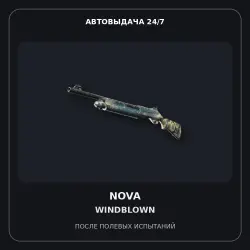 Nova | Windblown | Field-Tested
