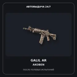 Galil AR | Akoben | Field-Tested