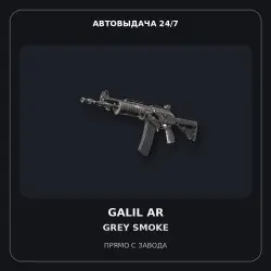 Galil AR | Grey Smoke | Factory New