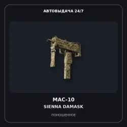 MAC-10 | Sienna Damask | Well-Worn