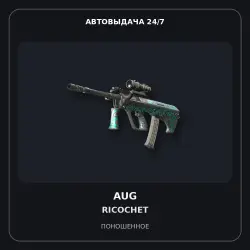 AUG | Ricochet | Well-Worn