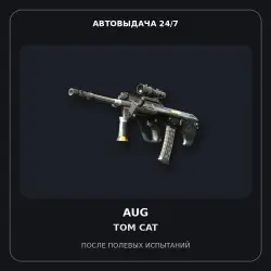 AUG | Tom Cat | Field-Tested