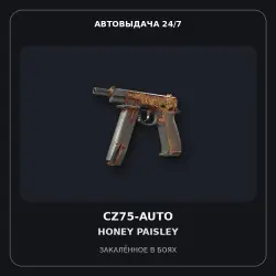 CZ75-Auto | Honey Paisley | Battle-Scarred