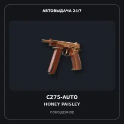 CZ75-Auto | Honey Paisley | Well-Worn