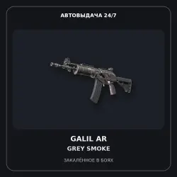 Galil AR | Grey Smoke | Battle-Scarred