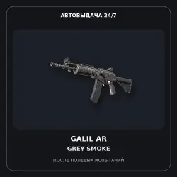 Galil AR | Grey Smoke | Field-Tested