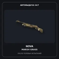 Nova | Marsh Grass | Field-Tested