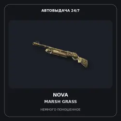 Nova | Marsh Grass | Minimal Wear