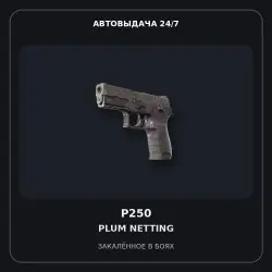 P250 | Plum Netting | Battle-Scarred