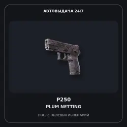 P250 | Plum Netting | Field-Tested