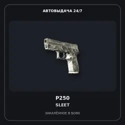 P250 | Sleet | Battle-Scarred
