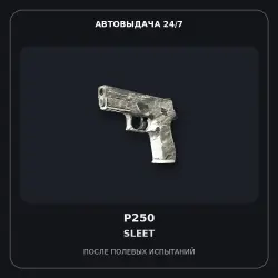 P250 | Sleet | Field-Tested
