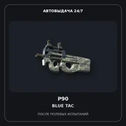 P90 | Blue Tac | Field-Tested