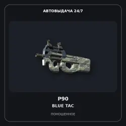 P90 | Blue Tac | Well-Worn
