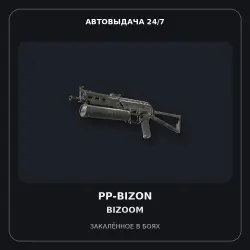 PP-Bizon | Bizoom | Battle-Scarred