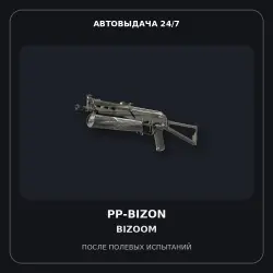 PP-Bizon | Bizoom | Field-Tested