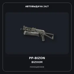 PP-Bizon | Bizoom | Well-Worn
