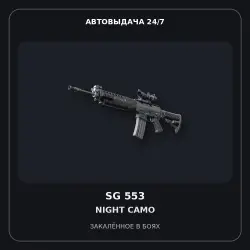 SG 553 | Night Camo | Battle-Scarred