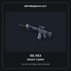 SG 553 | Night Camo | Field-Tested