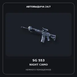 SG 553 | Night Camo | Minimal Wear