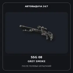 SSG 08 | Grey Smoke | Field-Tested