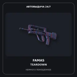 FAMAS | Teardown | Minimal Wear