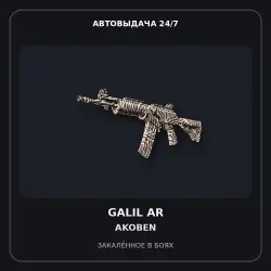 Galil AR | Akoben | Battle-Scarred