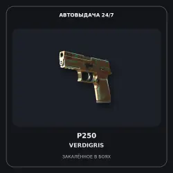 P250 | Verdigris | Battle-Scarred