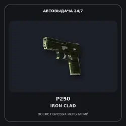 StatTrak P250 | Iron Clad | Field-Tested