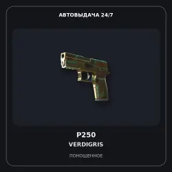 StatTrak P250 | Verdigris | Well-Worn